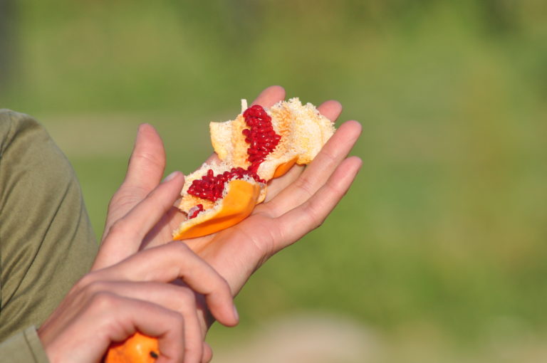 Fruta Madura