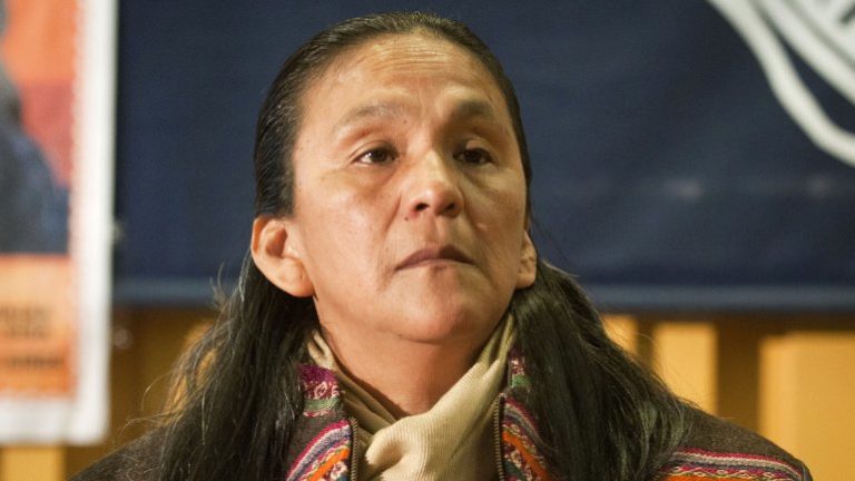 Carta de Milagros Salas a la Comunidad Mapuche