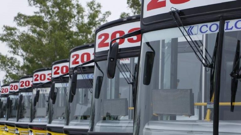 Paro en la línea 203 de colectivos por agresión a un chofer