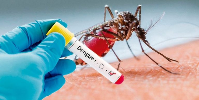Luego de dos años podría haber un nuevo “ciclo epidémico” de dengue