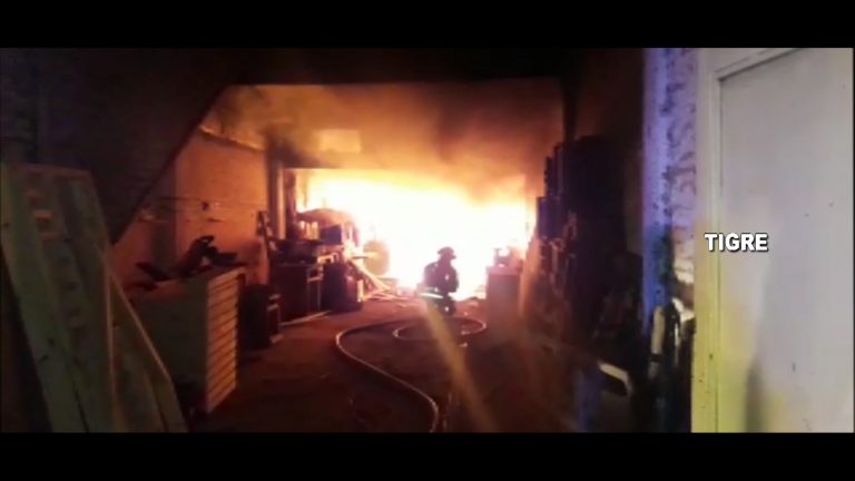 El Sistema de Protección Ciudadana de Tigre controló un feroz incendio en un aserradero  