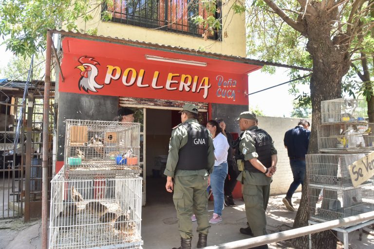Se realizó un rescate de aves silvestres que estaban a la venta en un local de la ciudad de Tortuguitas