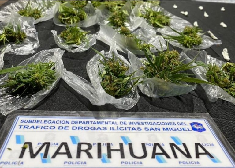 Ing. Pablo Nogués: allanamiento y secuestro de drogas ilícitas
