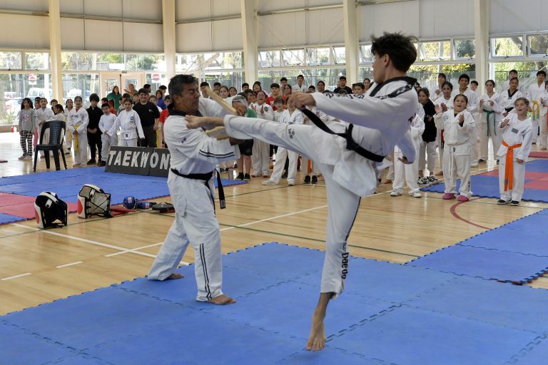 En el microestadio Ciudad de Benavídez, se llevó adelante un campus de la Escuela Municipal de Taekwondo
