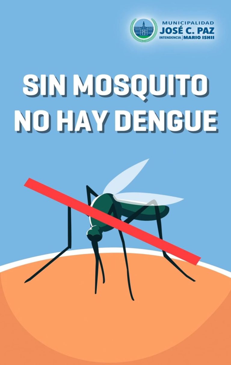 SIN MOSQUITO NO HAY DENGUE